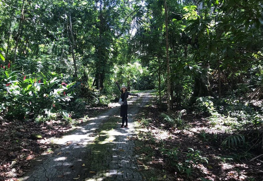 Hamamoto Gardens / Tropical Fruit World, United States